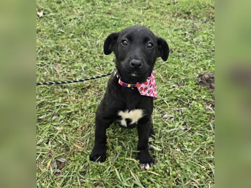 Grete - einfach weggeworfen