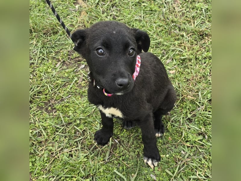 Grete - einfach weggeworfen