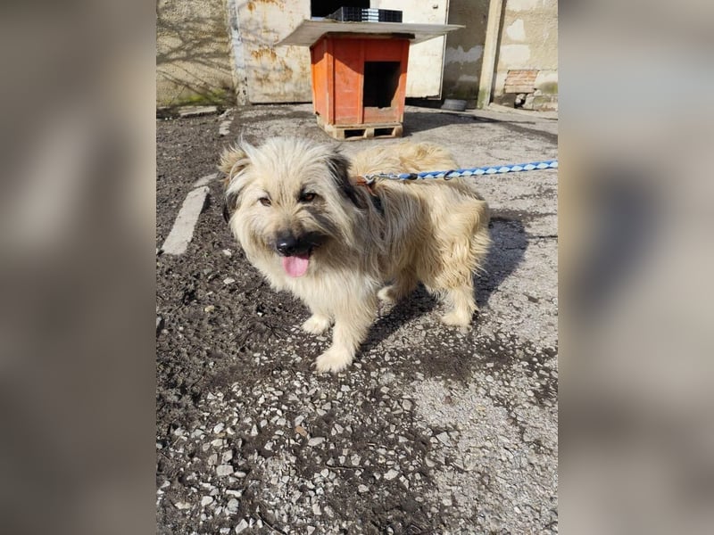 SUNNY wie ein kleiner Sonnenstrahl