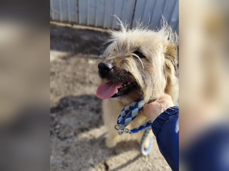 SUNNY wie ein kleiner Sonnenstrahl