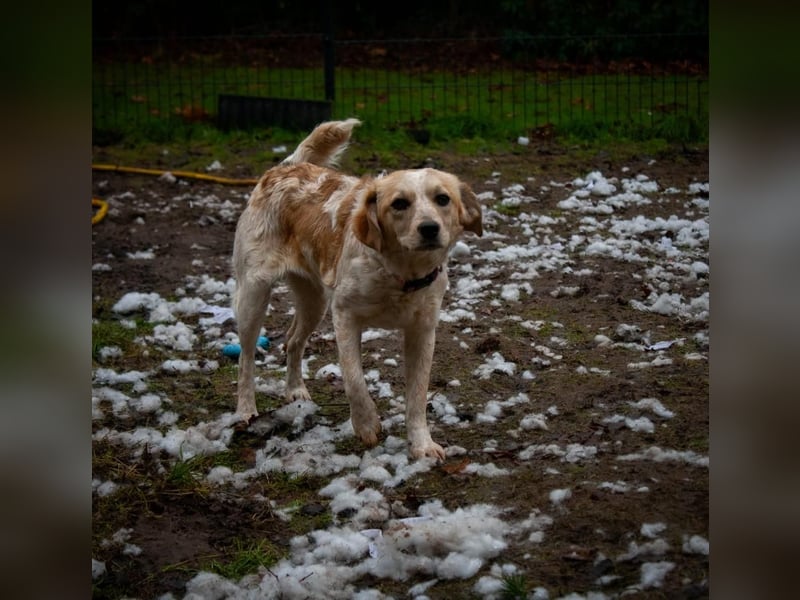 BELLA  die kleine Komikerin