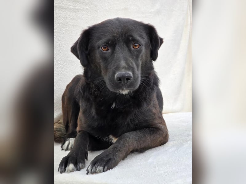 NAOMI - wenn das Glück noch nicht gefunden wurde 