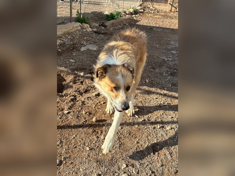 LEZO ein besonderer Bub