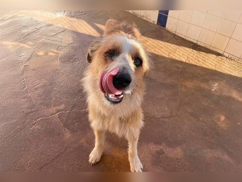 LEZO ein besonderer Bub