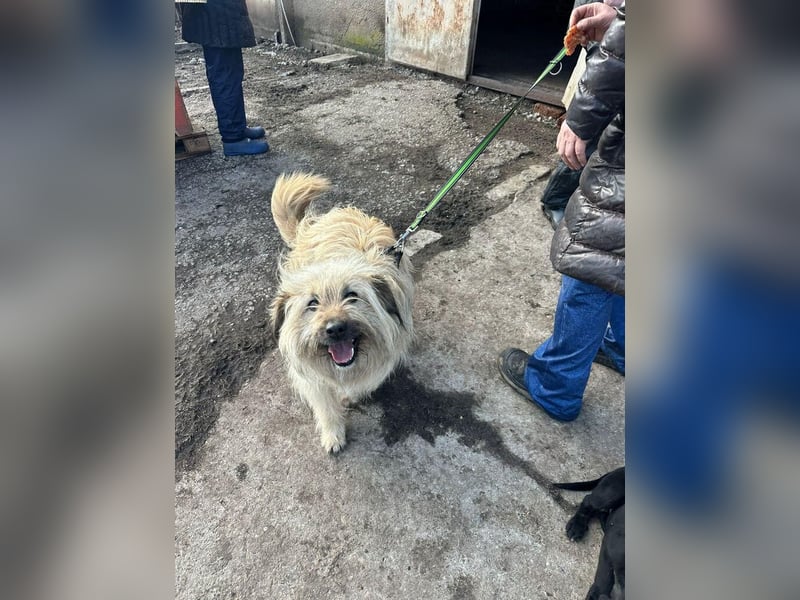 SUNNY wie ein kleiner Sonnenstrahl