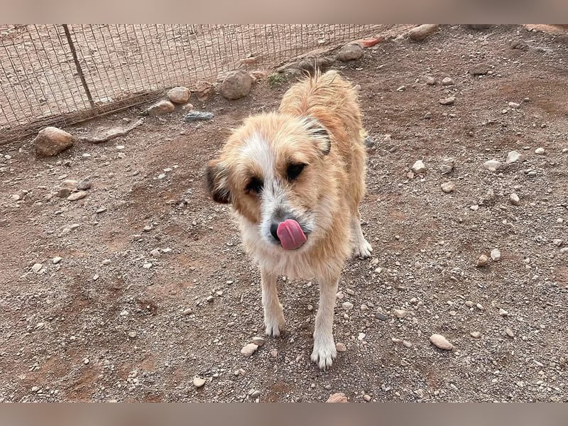 LEZO ein besonderer Bub