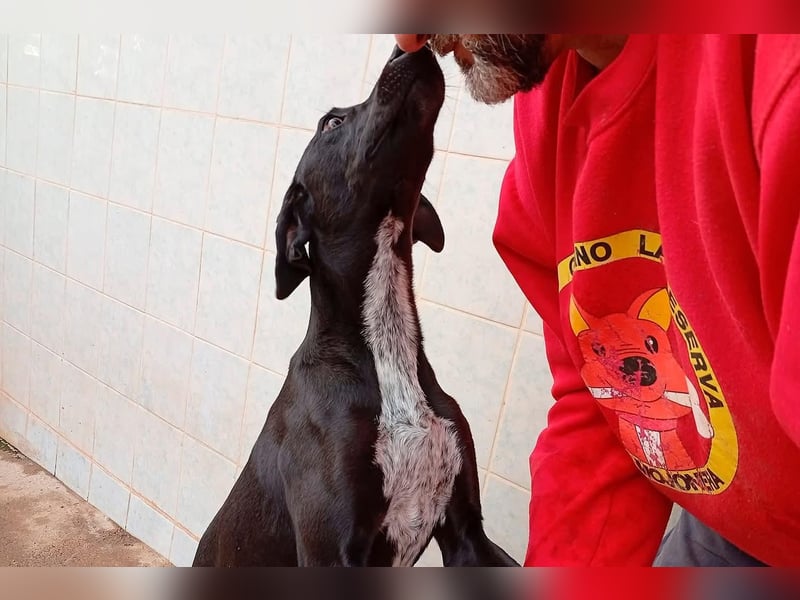 LUCY Sonnenschein auf vier Pfoten