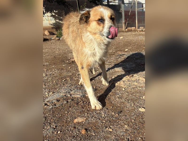 LEZO ein besonderer Bub