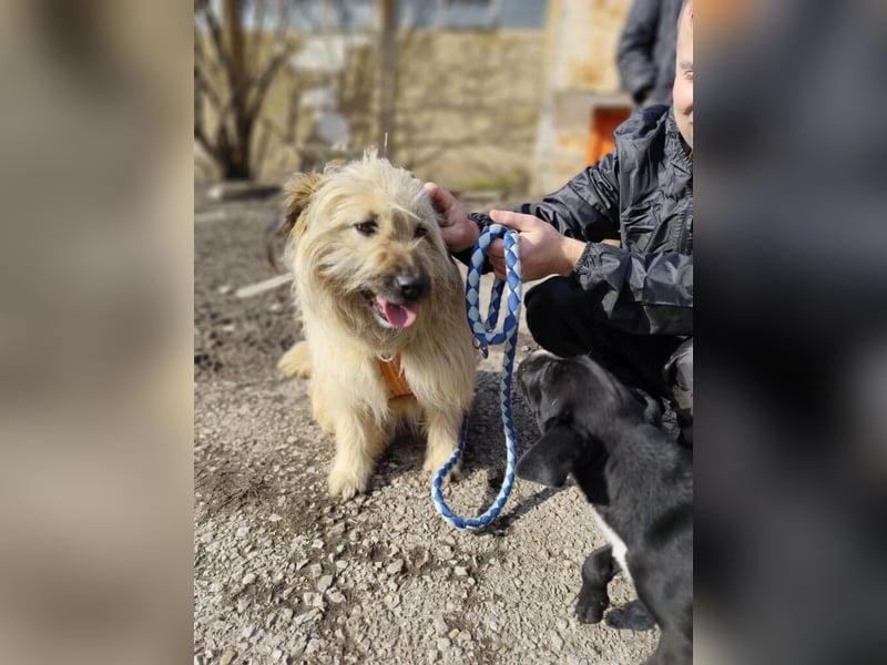 SUNNY wie ein kleiner Sonnenstrahl