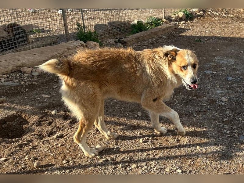 LEZO ein besonderer Bub