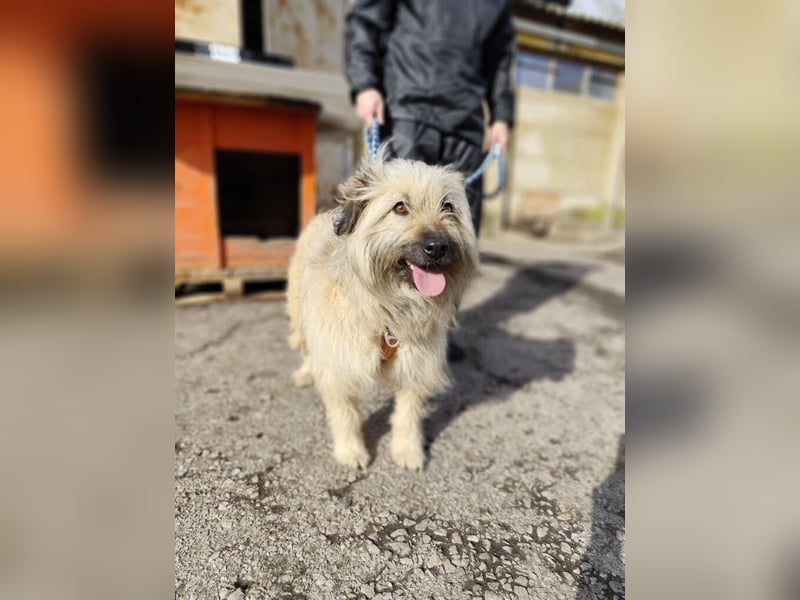 SUNNY wie ein kleiner Sonnenstrahl