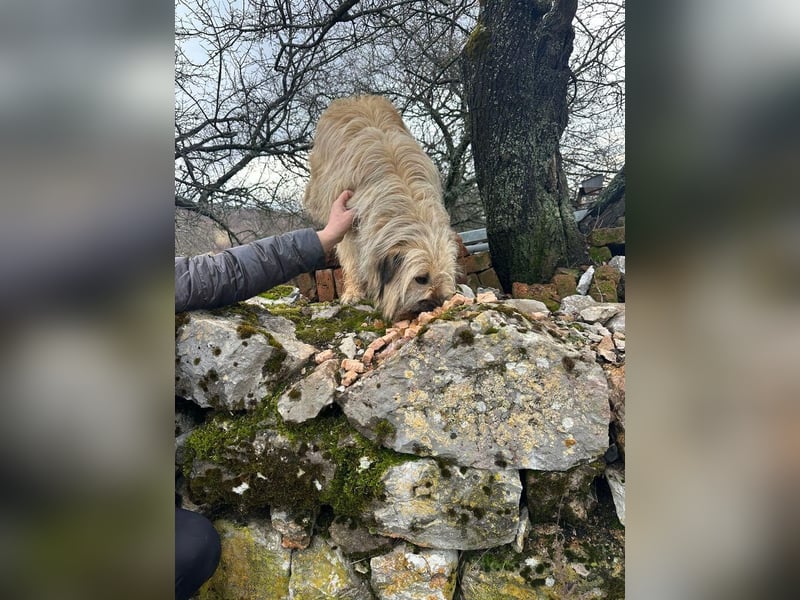 SUNNY wie ein kleiner Sonnenstrahl
