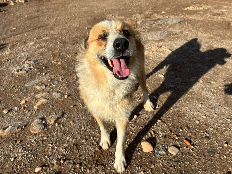 LEZO ein besonderer Bub