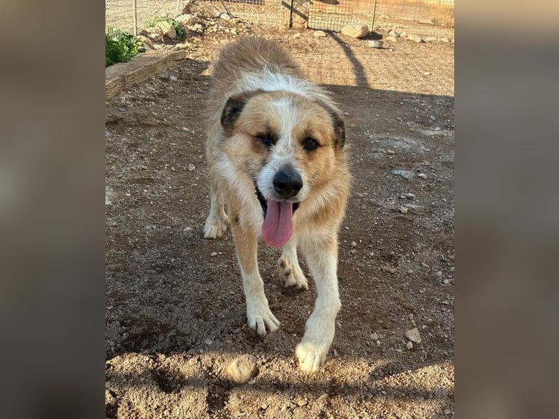 LEZO ein besonderer Bub