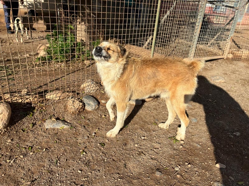 LEZO ein besonderer Bub