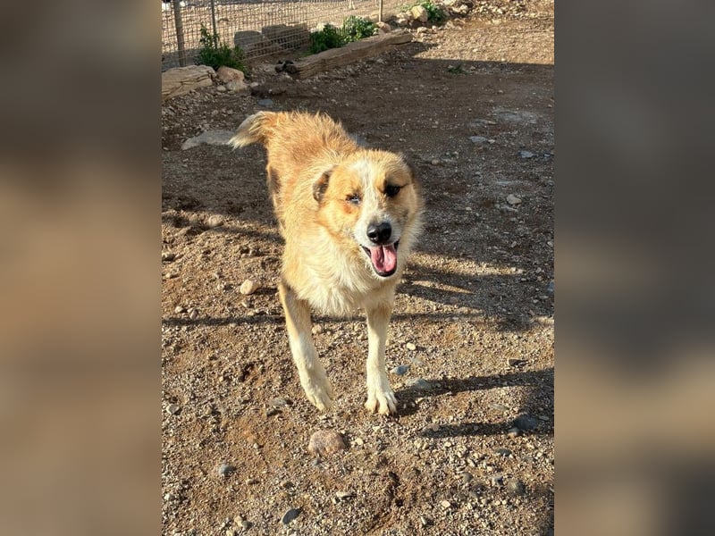 LEZO ein besonderer Bub