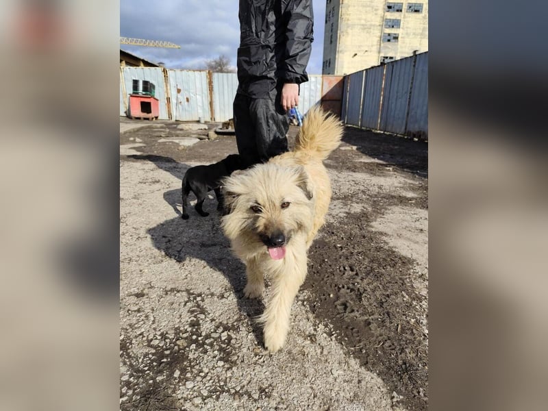 SUNNY wie ein kleiner Sonnenstrahl