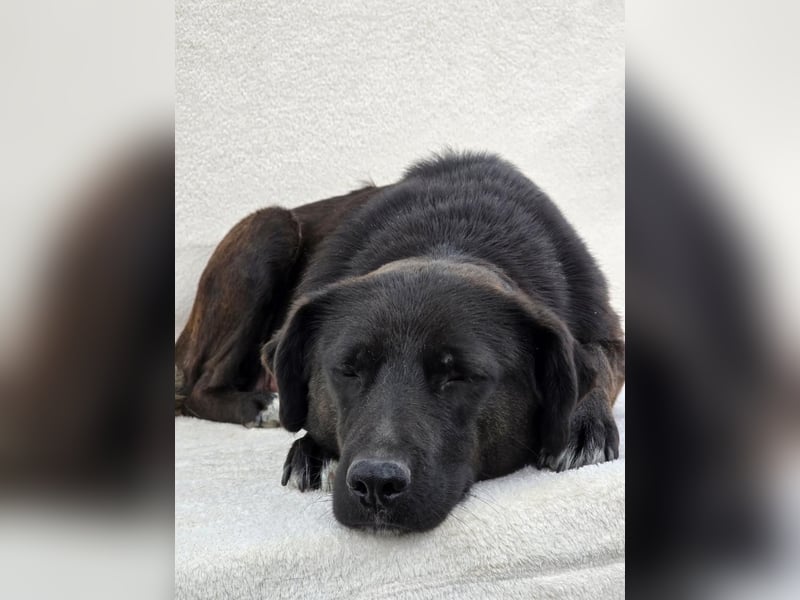 NAOMI - wenn das Glück noch nicht gefunden wurde 