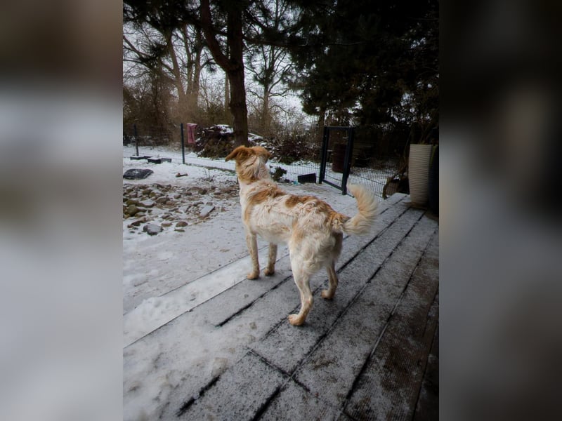 BELLA  die kleine Komikerin