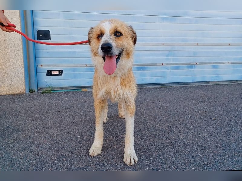 LEZO ein besonderer Bub