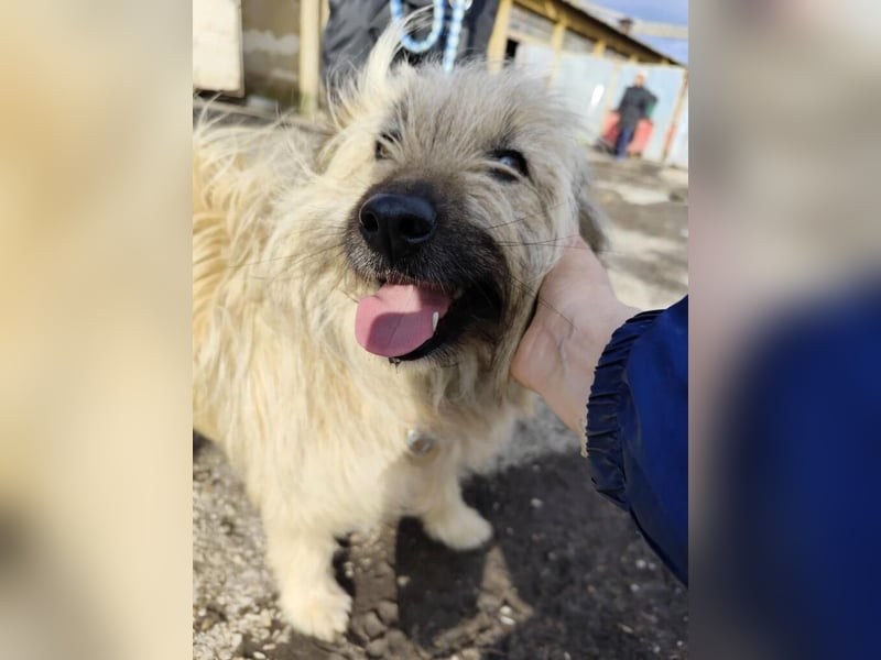 SUNNY wie ein kleiner Sonnenstrahl