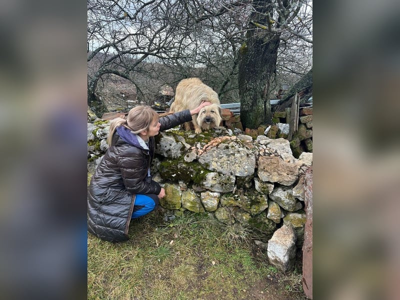 SUNNY wie ein kleiner Sonnenstrahl