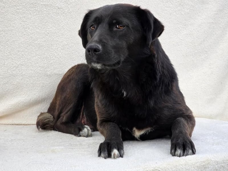 NAOMI - wenn das Glück noch nicht gefunden wurde 