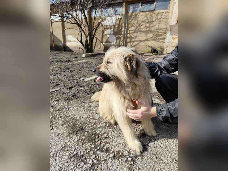 SUNNY wie ein kleiner Sonnenstrahl