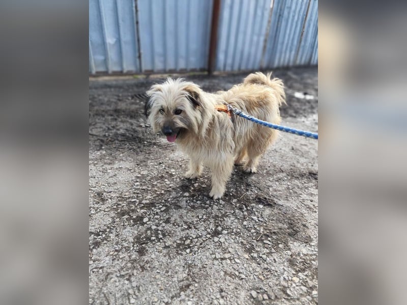 SUNNY wie ein kleiner Sonnenstrahl