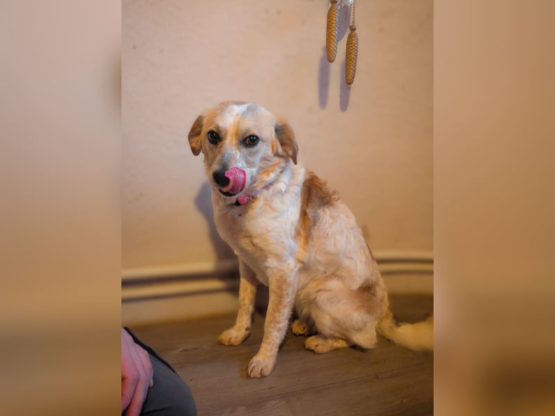 BELLA  die kleine Komikerin