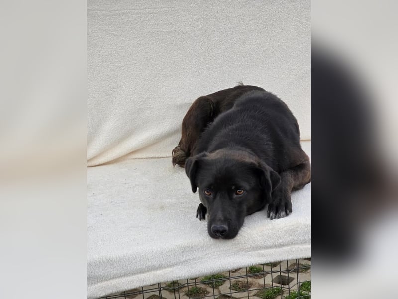 NAOMI - wenn das Glück noch nicht gefunden wurde 