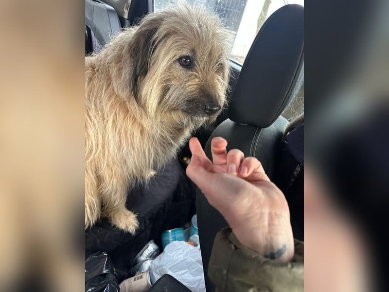 SUNNY wie ein kleiner Sonnenstrahl