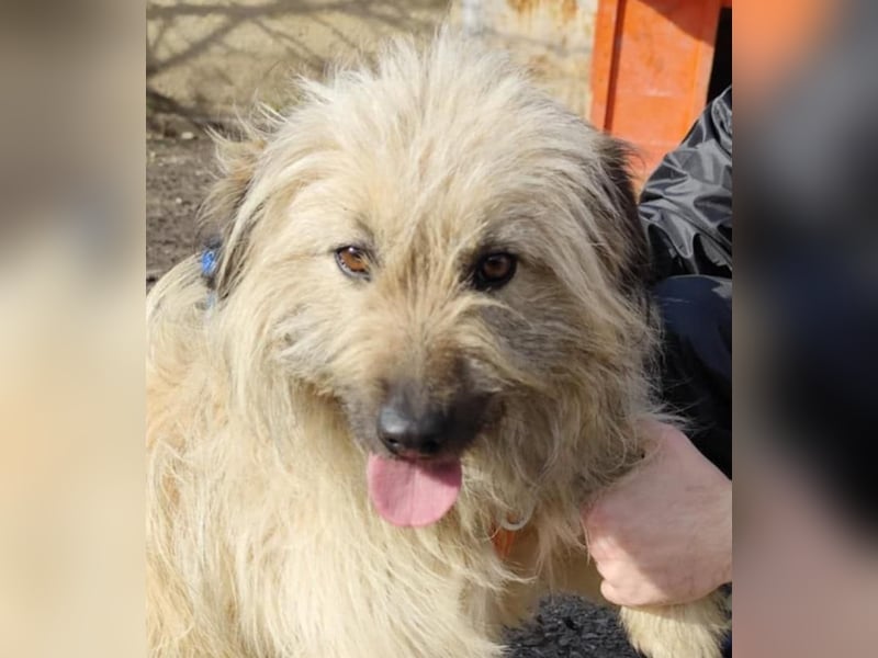 SUNNY wie ein kleiner Sonnenstrahl