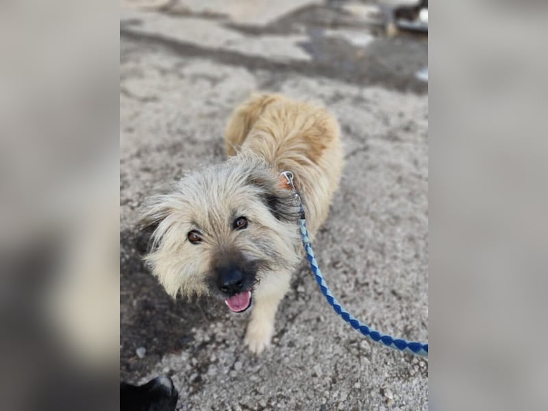 SUNNY wie ein kleiner Sonnenstrahl