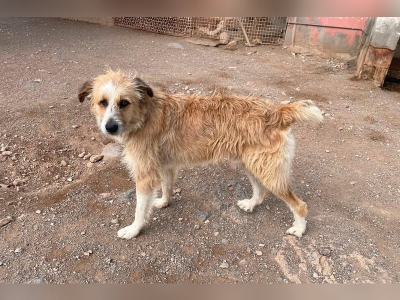 LEZO ein besonderer Bub