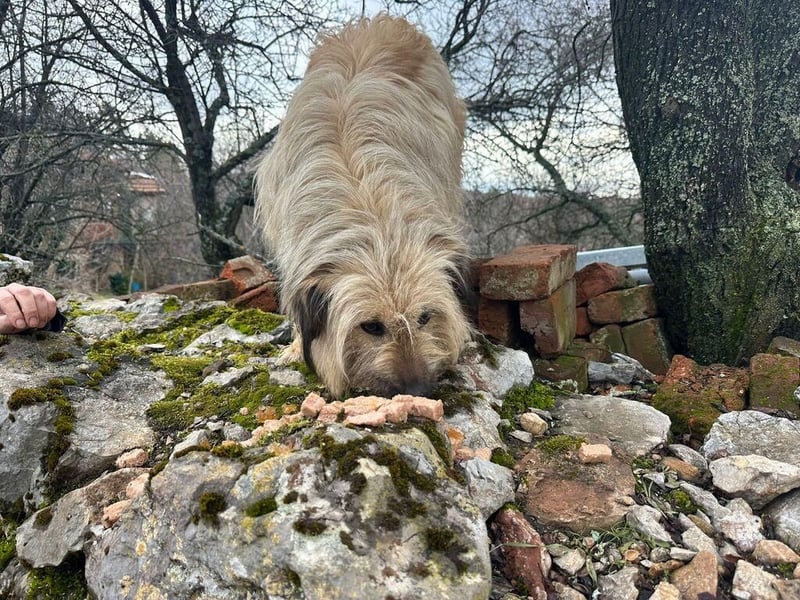 SUNNY wie ein kleiner Sonnenstrahl