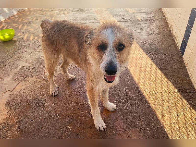 LEZO ein besonderer Bub