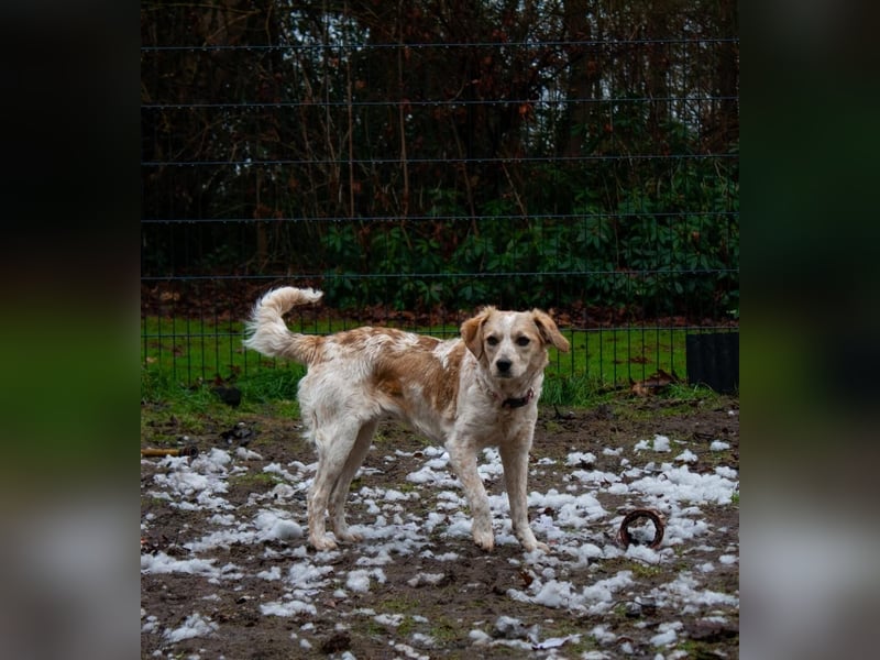 BELLA  die kleine Komikerin