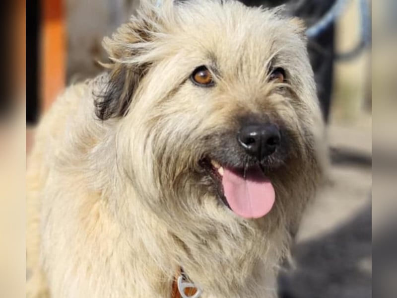 SUNNY wie ein kleiner Sonnenstrahl