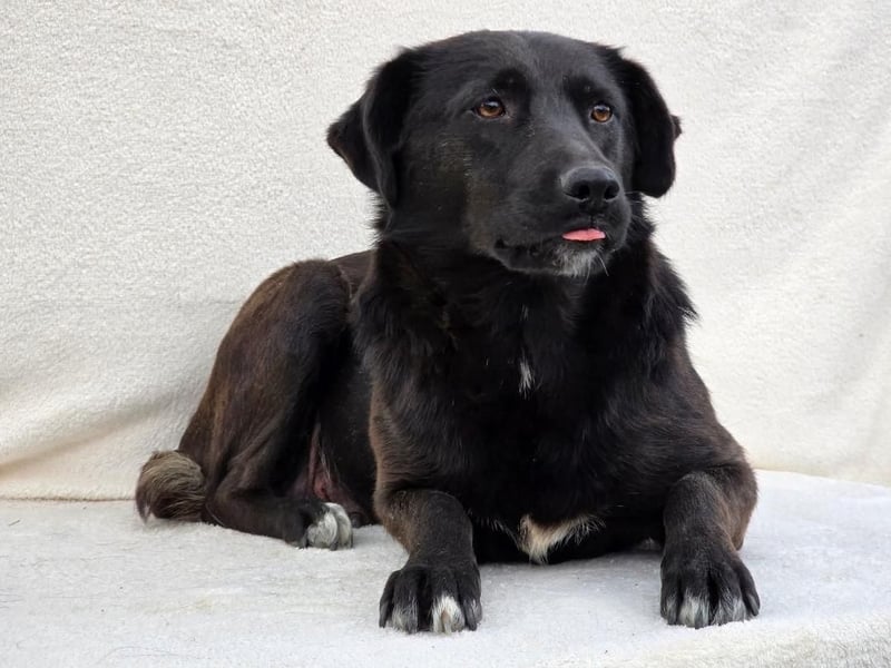 NAOMI - wenn das Glück noch nicht gefunden wurde 
