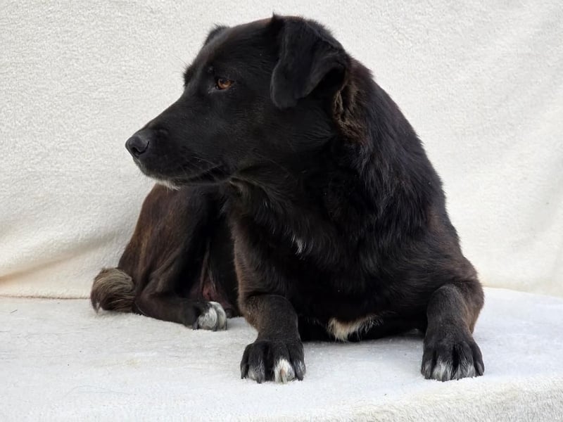 NAOMI - wenn das Glück noch nicht gefunden wurde 