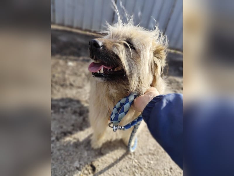 SUNNY wie ein kleiner Sonnenstrahl