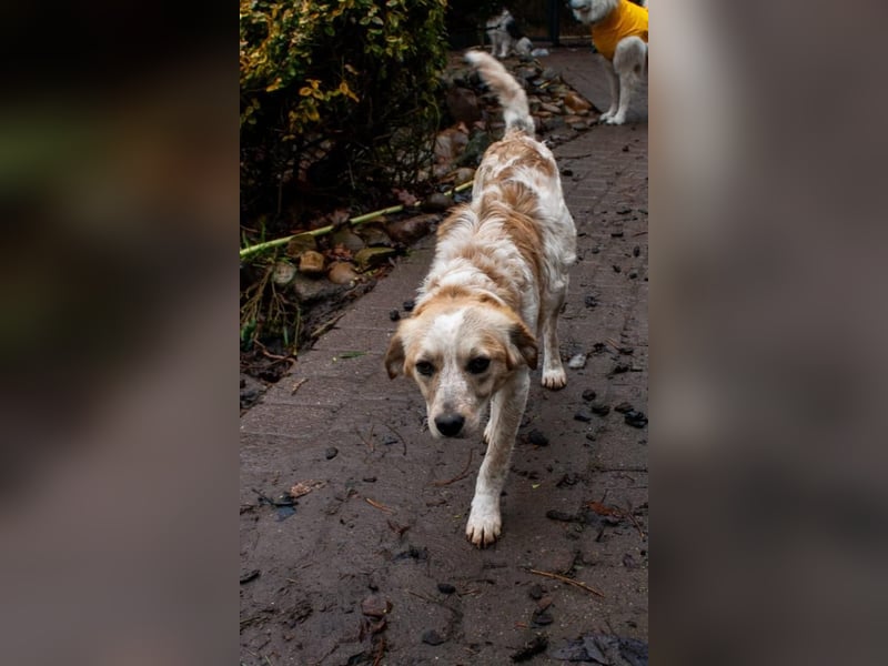 BELLA  die kleine Komikerin