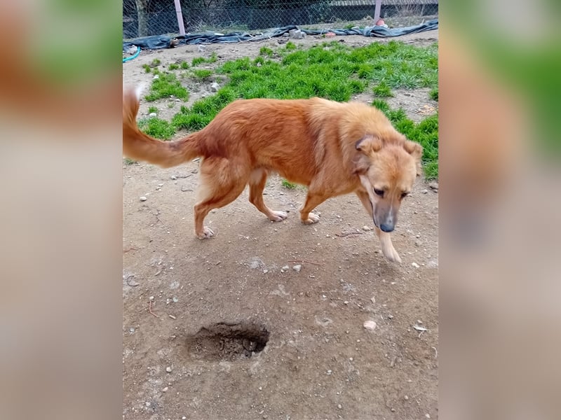 NIKITA sucht ihr Glückskörbchen