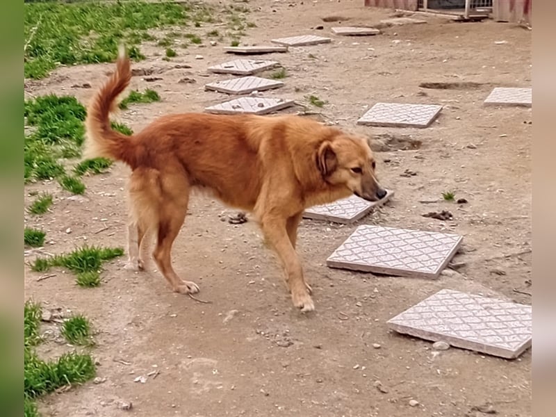 NIKITA sucht ihr Glückskörbchen