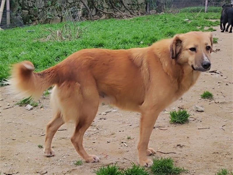 NIKITA sucht ihr Glückskörbchen