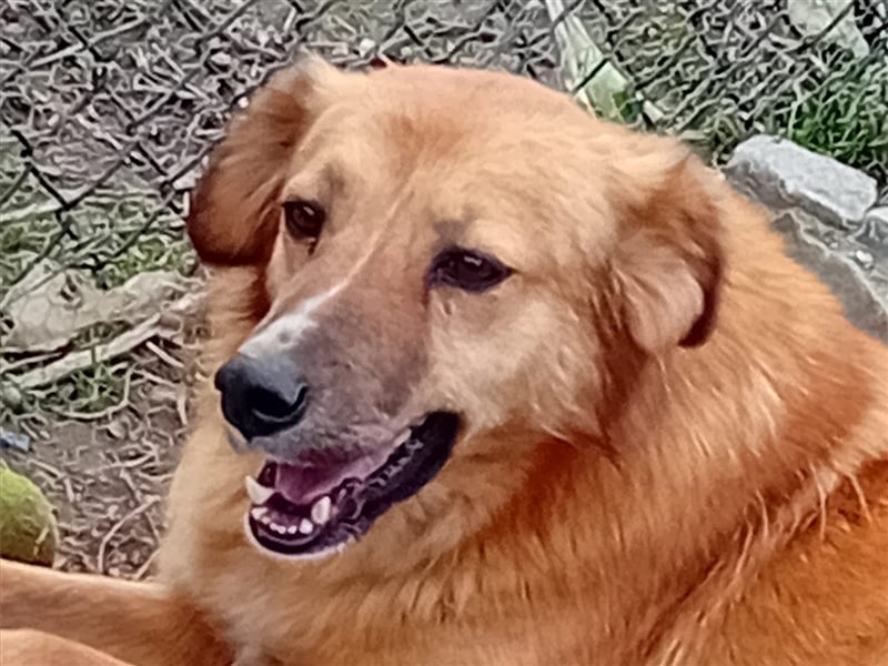 NIKITA sucht ihr Glückskörbchen