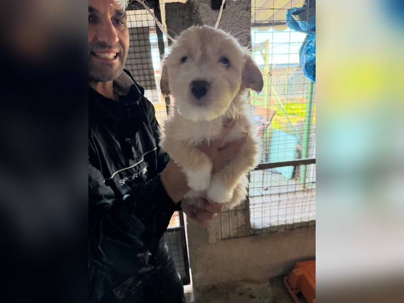 KALLE sucht sein Traumkörbchen