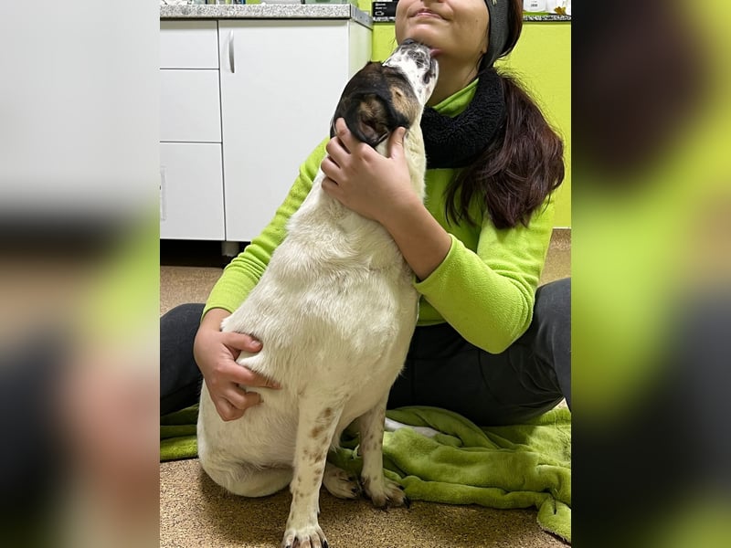 So tolle Cara sucht ihr Glück