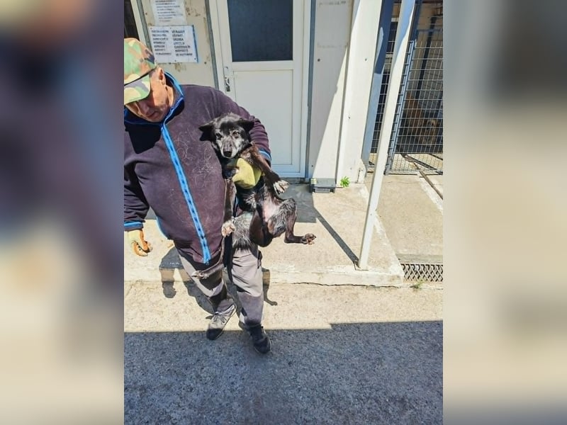 Senior wartet schon so lange SOS dringend
